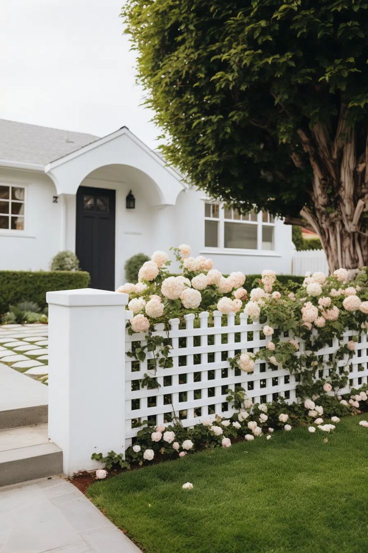 Before and after vinyl fence